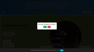 Thumbnail of volleyballprelockroles.com