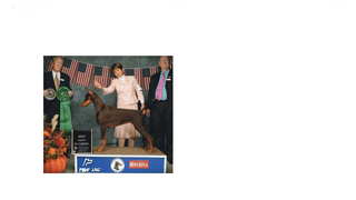 Thumbnail of stonewooddobermansandminpins.com