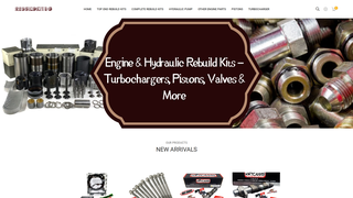 Thumbnail of rebuildkitsg.com
