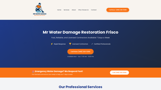 Thumbnail of mrwaterdamagerestorationfrisco.com