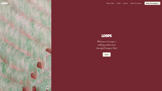 Thumbnail of loopsprospectpark.com