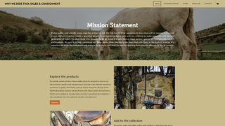 Thumbnail of whyweridetack.com