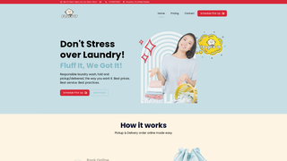 Thumbnail of fluffit-laundry.com