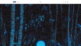 Thumbnail of theforgottenlawsofmanifestation.com