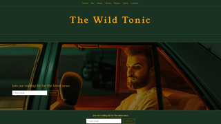 Thumbnail of thewildtonic.com