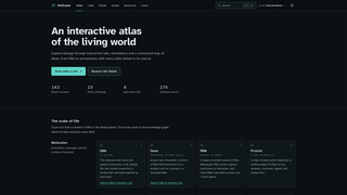 Site preview