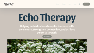 Thumbnail of echotherapycincinnati.com