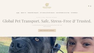 Thumbnail of feliciasglobaltransports.com