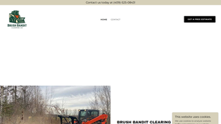 Thumbnail of brushbanditco.com