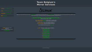 Thumbnail of mirror-services.net
