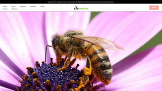 Thumbnail of livgreen.net