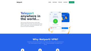 Thumbnail of netporti.com