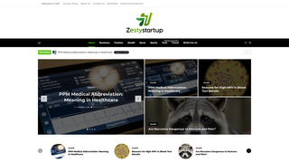 Thumbnail of zestystartup.com