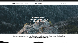 website thumbnail