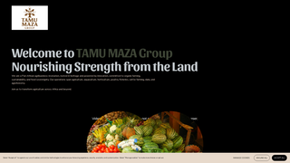 Thumbnail of tamumaza.com