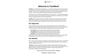 Thumbnail of tunemesh.com