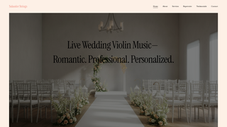 Thumbnail of salanderstrings.com