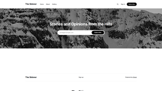 Thumbnail of the-skinner.com