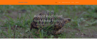 Thumbnail of friendlyturtles.com