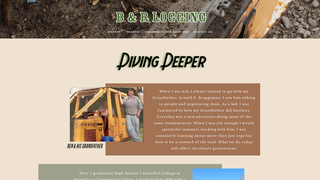 Thumbnail of brlogging.com