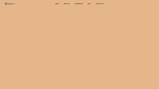 Thumbnail of casiedits.com