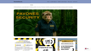 Thumbnail of pavonessecurity.com
