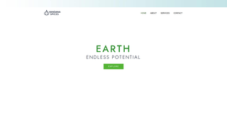Thumbnail of vandanaspices.com