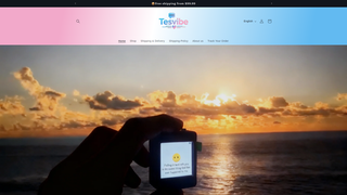 Thumbnail of tesvibe.com