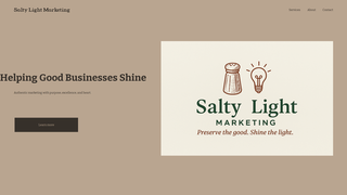 Thumbnail of saltylightmarketing.com