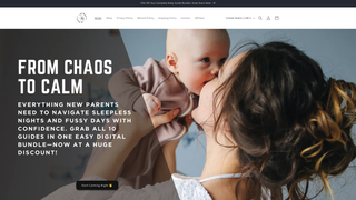 Thumbnail of babystepsguides.com