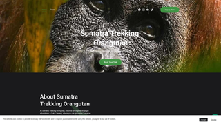 Thumbnail of sumatratrekkingorangutan.com