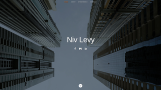 Thumbnail of niv-levy.net