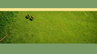 Thumbnail of sagemeadowherbs.com