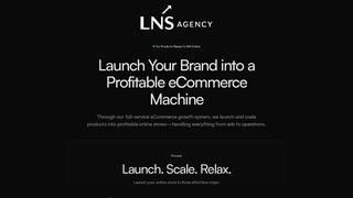 Thumbnail of lnsagency.com