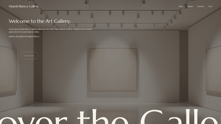 Thumbnail of niamhbiancagallery.com