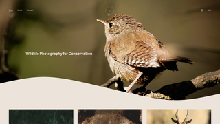 Thumbnail of sorenpowerphotography.com