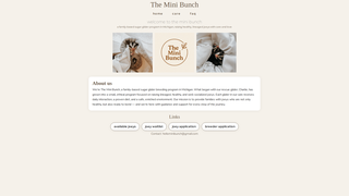 Thumbnail of theminibunch.com