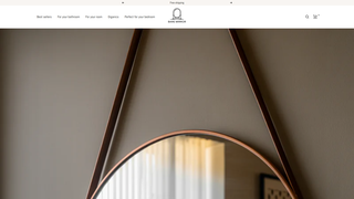 Thumbnail of baremirror.com