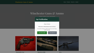 Thumbnail of winchestergunsandammo.com