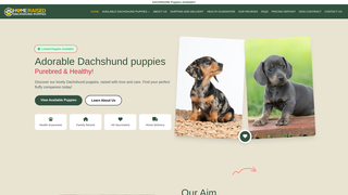 Thumbnail of homeraiseddacshundpuppies.com