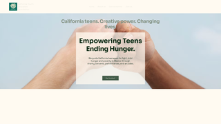 Thumbnail of cayouthfoundation.org