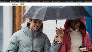 Thumbnail of rainvex.com