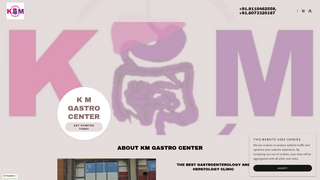 Screenshot of kmgastro.com