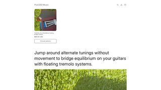 Thumbnail of puls3dmusic.com