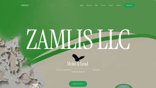 Thumbnail of zamlisnyc.com