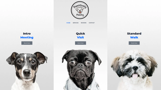 Thumbnail of pawsitivelypoochy.com