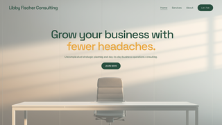 Thumbnail of libbyfischerconsulting.com