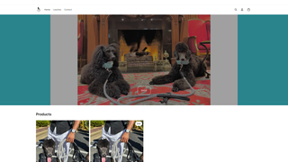 Thumbnail of leashmi.com