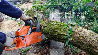 Thumbnail of farmersbranchtreespecialists.com