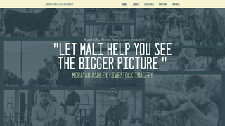 Thumbnail of malillc.com